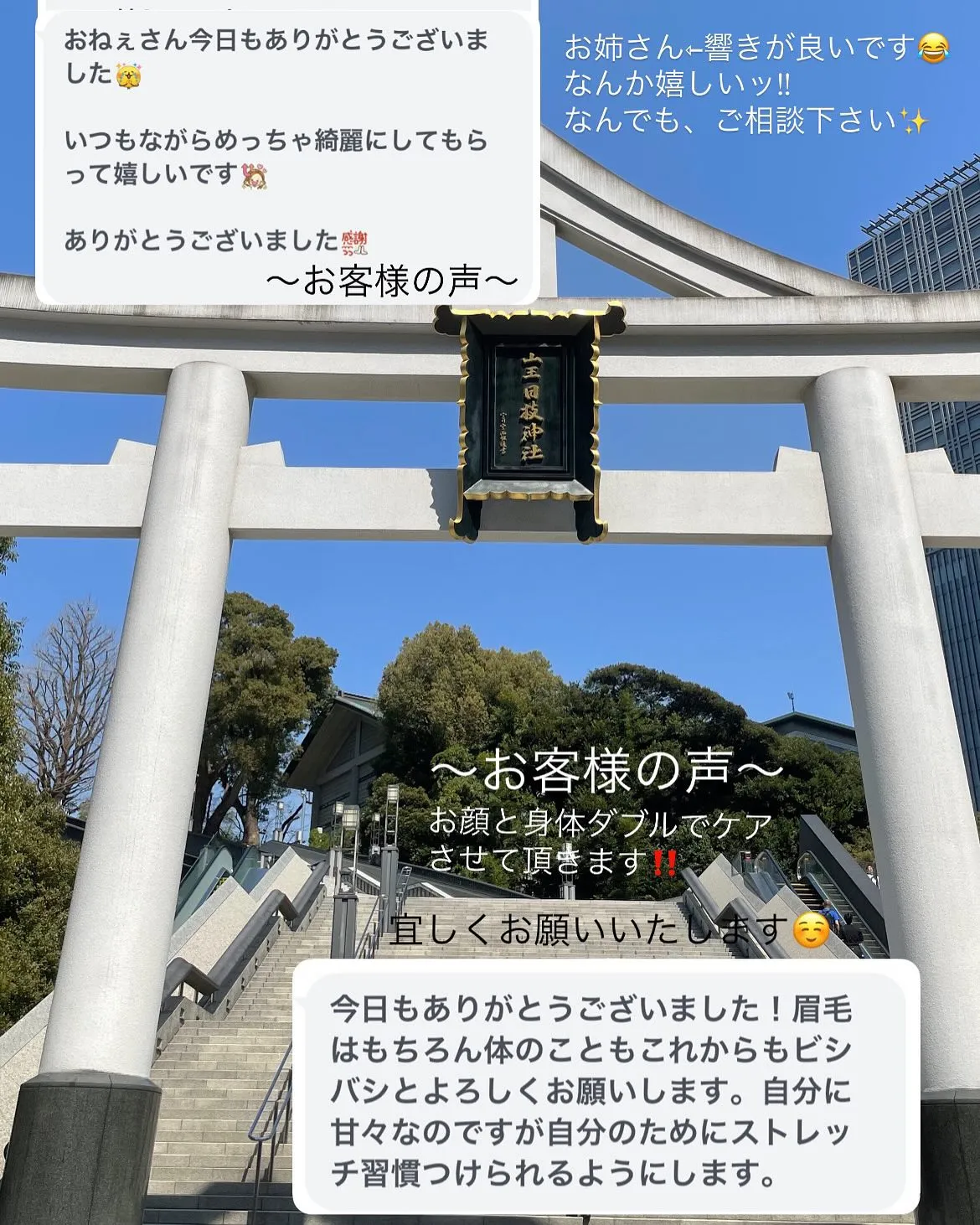 日本コスメティックタトゥー協会正会員